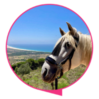 Signature Marbella – testimonios